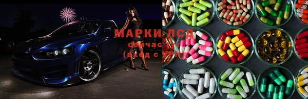 spice Арсеньев
