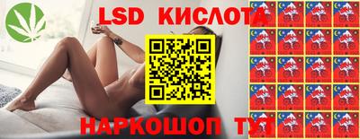 гидропоника Заводоуковск