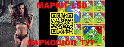 гидропоника Заводоуковск