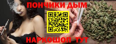 индика Заволжье