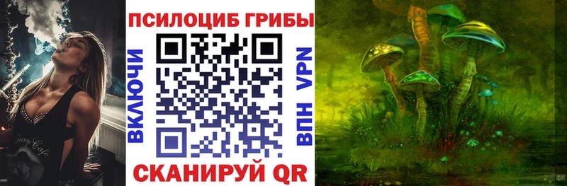 Псилоцибиновые грибы прущие грибы  как найти   Стрежевой 
