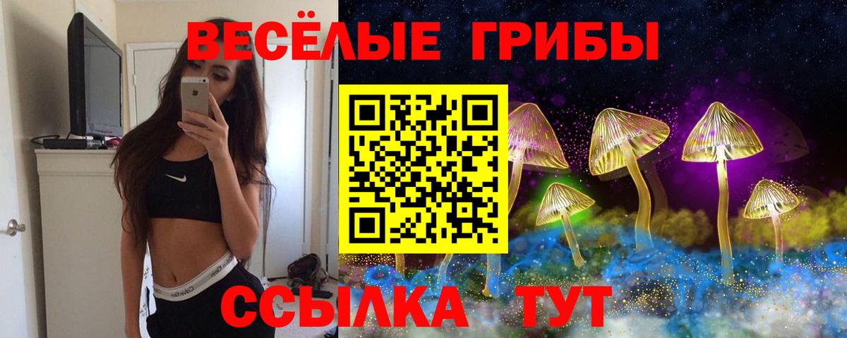 Галлюциногенные грибы прущие грибы  Псилоцибиновые грибы Magic Shrooms  Вход с VPN  Стрежевой 