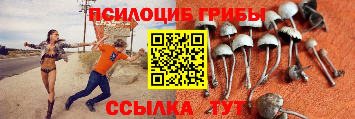 Галлюциногенные грибы MAGIC MUSHROOMS Стрежевой