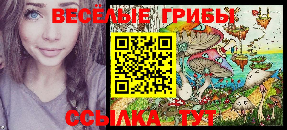 Псилоцибиновые грибы мицелий  Стрежевой 