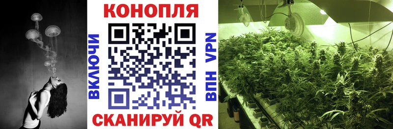 Канабис OG Kush  купить закладку  Стрежевой 